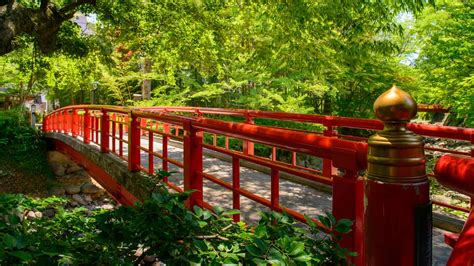 修善寺駅で遊べるデリヘル情報